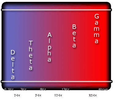 Typical EEG waves